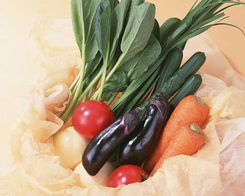 不可不知食物入口前的九大原则与日用品安全指南