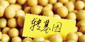 俄罗斯全面禁止转基因食品 生产与进口受限，违者面临罚款